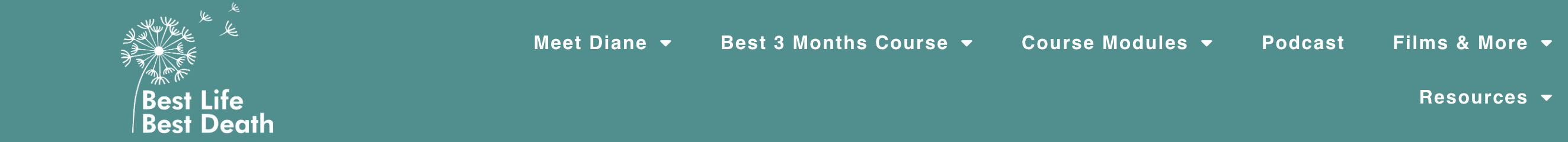 Screen Shot 2024-04-11 at 10.16.00 AM